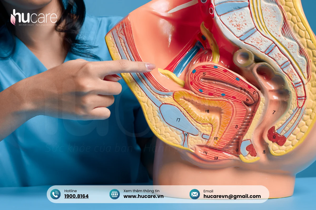 Hệ Tim Mạch Phải đối Mặt Với Nhiều Nguy Hiểm