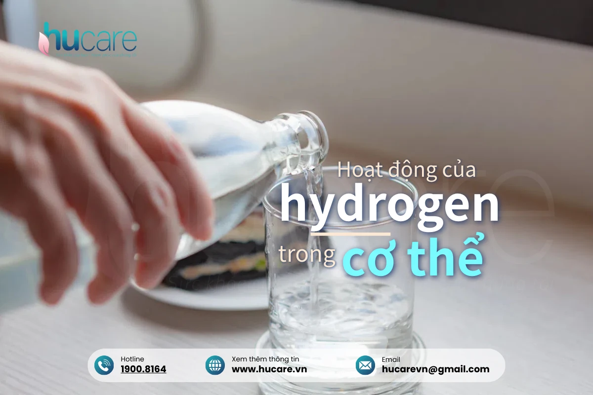 Hoạt động Của Hydeogen Trong Cơ Thể Rất Hiệu Quả