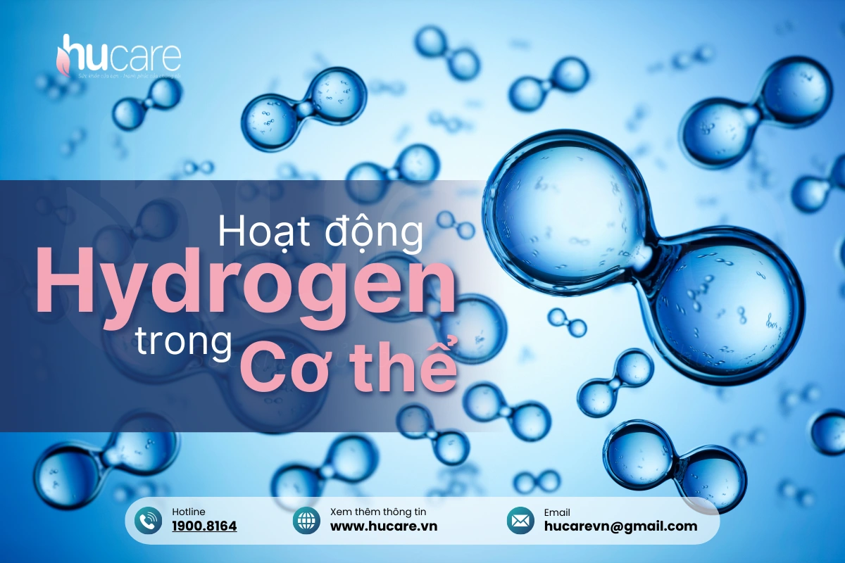 Hydrogen Hoạt động Ra Sao Trong Cơ Thể
