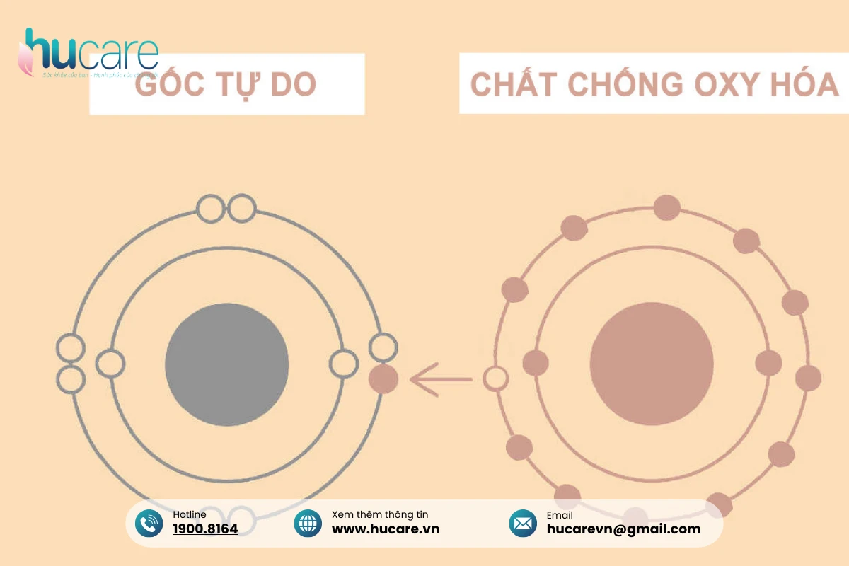 Trung Hòa Gốc Tự Do Bằng Nước Hydrogen Hiệu Quả