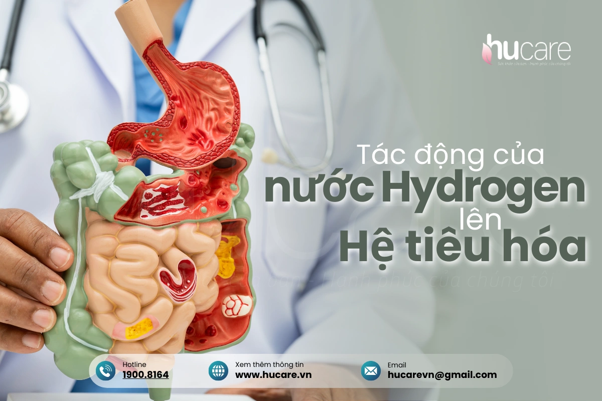 Tác động Của Nước Hydrogen Lên Hệ Tiêu Hóa
